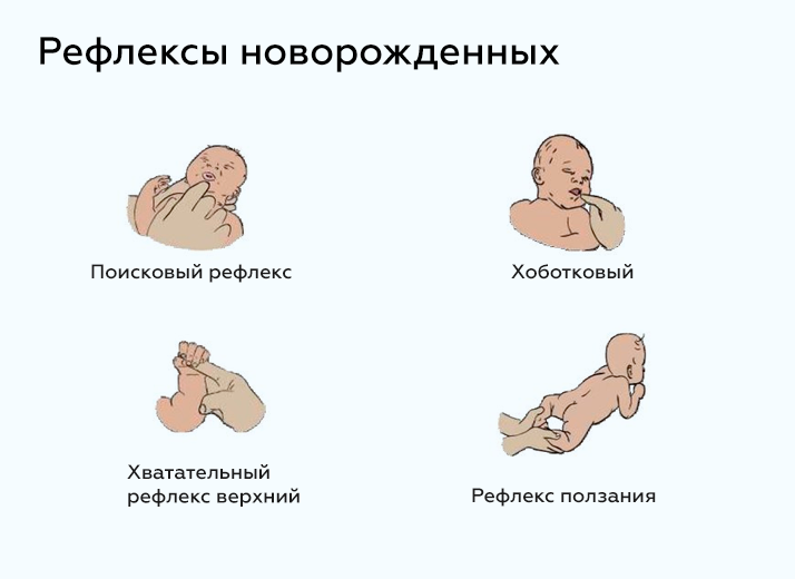 рефлексы новорожденных